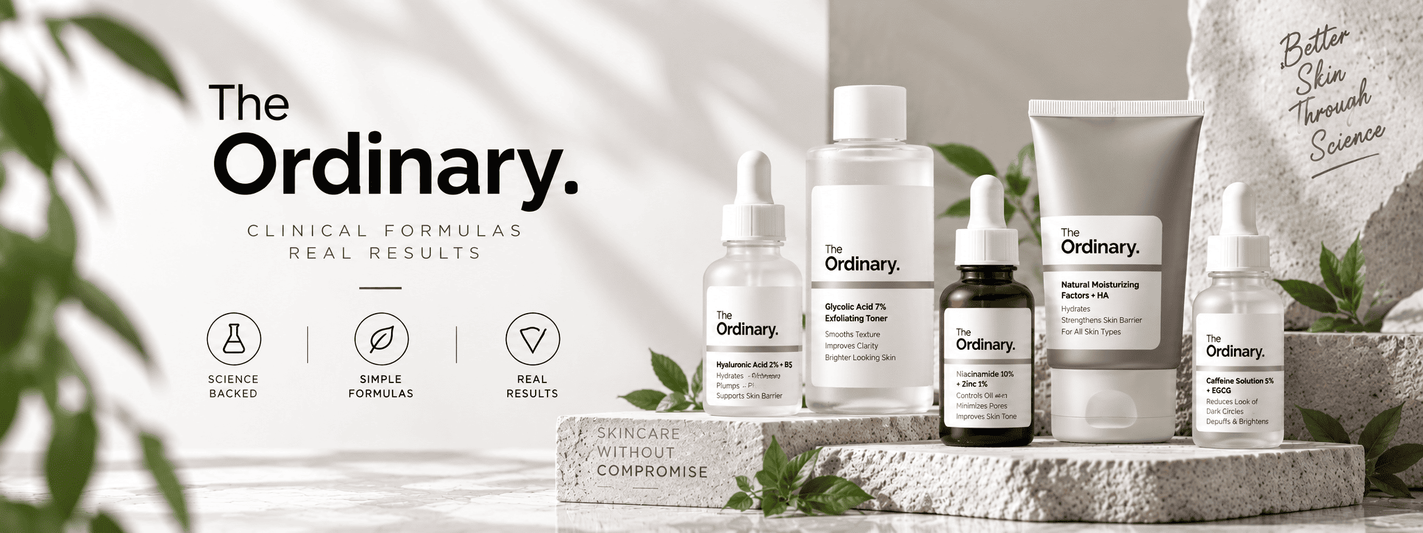 The Ordinary